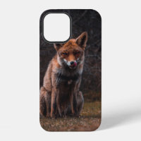 FUCHS AUF GRÜNFLÄCHE