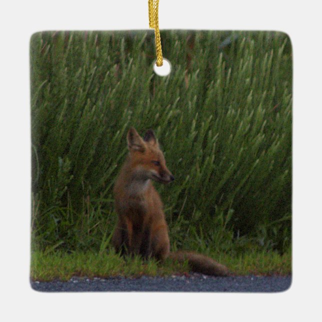 Fuchs-Foto-Ornament  Keramikornament (Vorderseite)