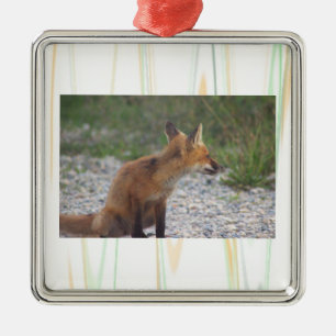 Fuchs-Foto-Ornament Ornament Aus Metall