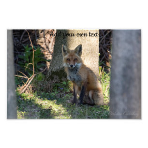 Fuchs Fotodruck