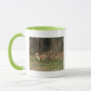 Fuchs-Fotomug Tasse