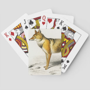 Fuchs illustriert vintage spielkarten