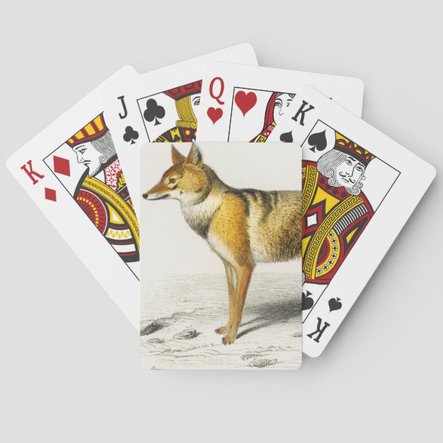 Fuchs illustriert vintage spielkarten (Rückseite)