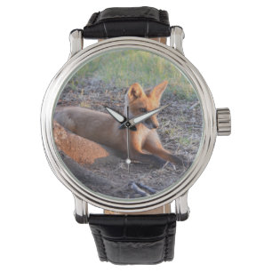 Fuchs im Sonnenlicht Armbanduhr