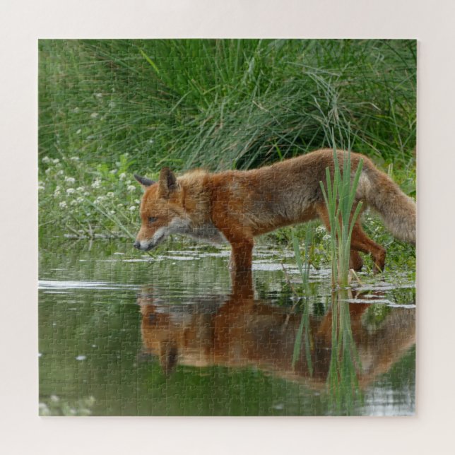 Fuchs im Teich Puzzle (Horizontal)