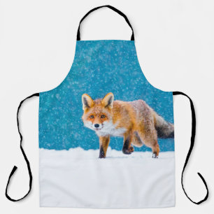 Fuchs im Winter. Rotfuchs, Vulpes vulpes, schnüffe Schürze