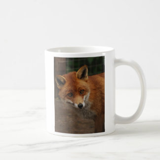Fuchs Kaffeetasse