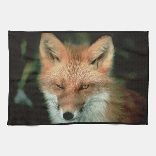 FUCHS KÜCHENTUCH (Horizontal)