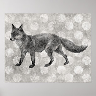 Fuchs Poster - Vintage Illustration Druck