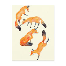 Fuchs