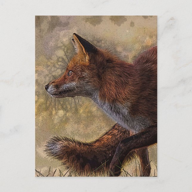 Fuchs Postkarte (Vorderseite)