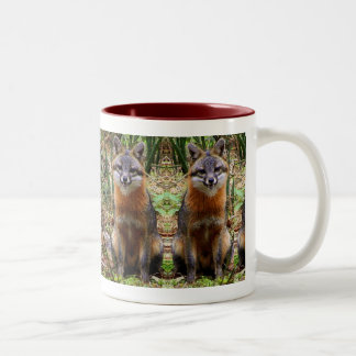 FUCHS-TASSE ZWEIFARBIGE TASSE