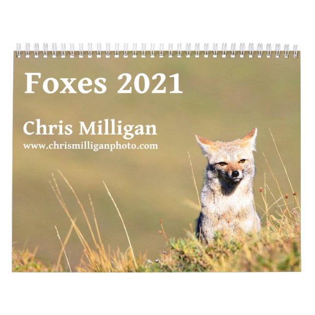 Füchse 2021 von Chris Milligan Kalender (Titelbild)