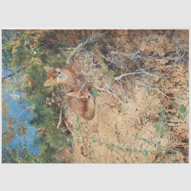 Füchse, Bruno Liljefors Seidenpapier (Vorderseite)