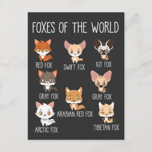 Füchse der Welt - Geschenk für Fox Lover Postkarte