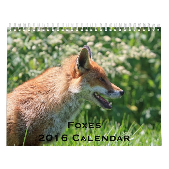 Füchse - Kalender 2016 (Titelbild)