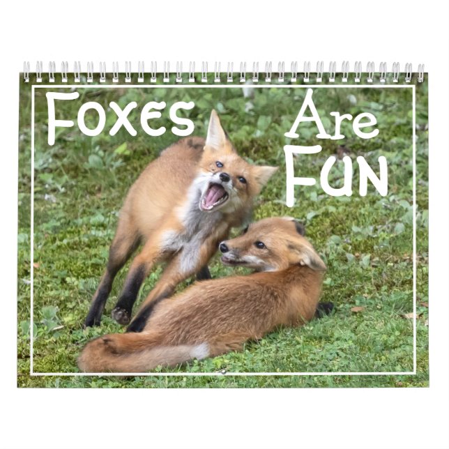 Füchse sind Spaß Kalender (Titelbild)