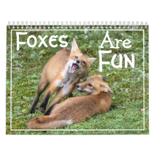 Füchse sind Spaß Kalender