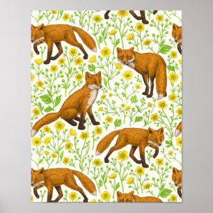 Füchse und Buttercups auf natürlichem Weiß Poster