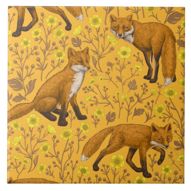 Füchse und Buttercups auf Orange Fliese (Vorderseite)