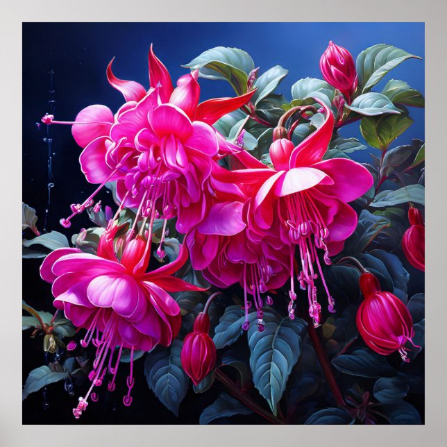 Fuchsia Aquarell Poster (Vorne)