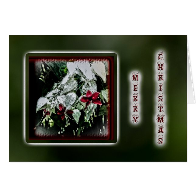 Fuchsia Christmas Grußkarte - Rot (Vorderseite (Horizontal))
