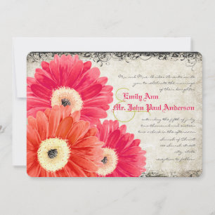 Fuchsia Coral Orange Gerber Daisy Wedding Einladun Einladung