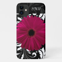 Fuchsia Gerbera Daisy mit Schwarz-Weiß-Swirl