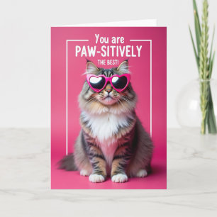 Fuchsia-Katzen-Geburtstagskarte Karte