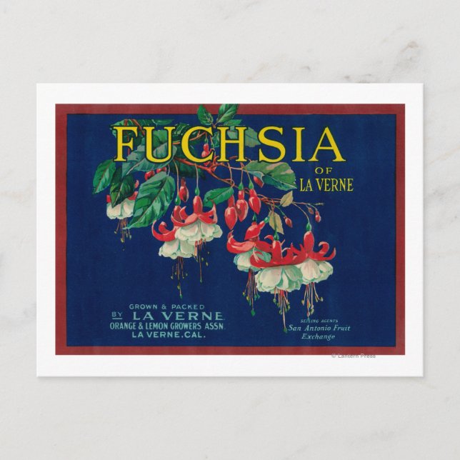 Fuchsia Lemon LabelLa Verne, CA Postkarte (Vorderseite)