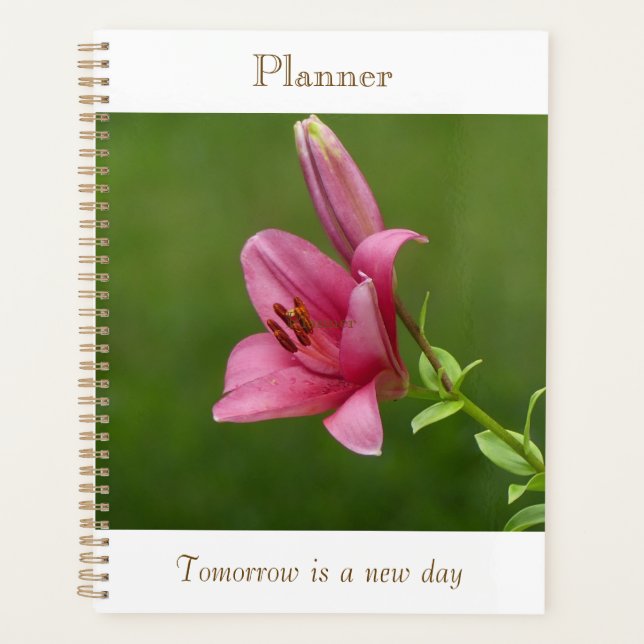 Fuchsia-Lily-Planer Planer (Vorderseite)