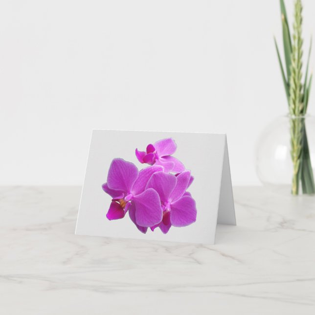Fuchsia moth Orchideen auf einer Dankeschön-Karte Dankeskarte (Vorderseite)