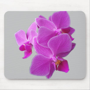 Fuchsia-Orchideen auf einem Mauspad