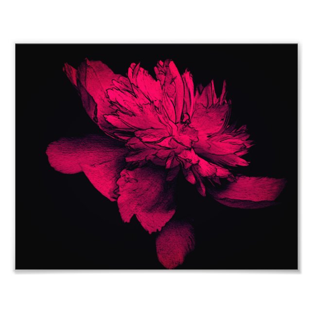 Fuchsia Peony Blume Abstrakt Flora Art 8x10 Fotodruck (Vorne)