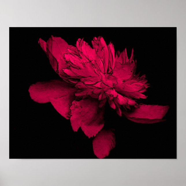 Fuchsia Peony Blume Abstrakt Poster (Vorne)