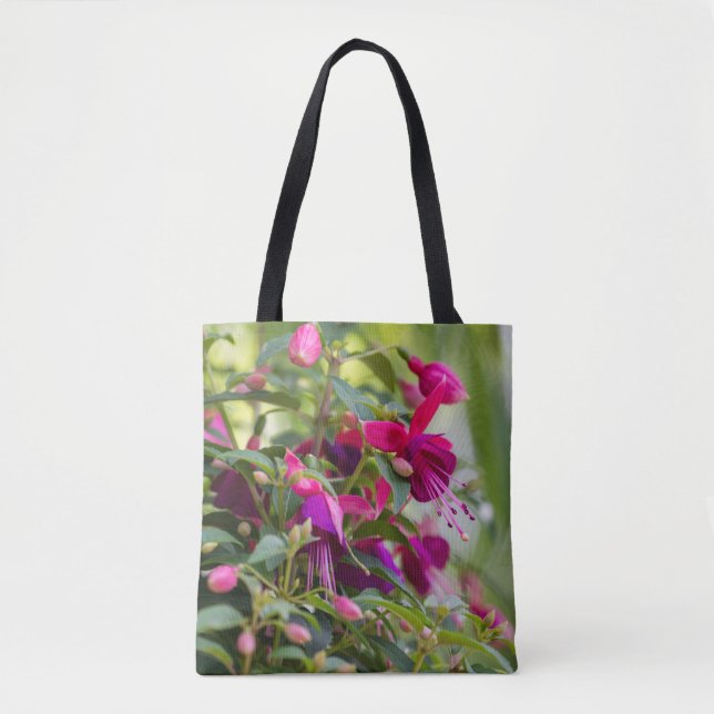 Fuchsia-Pflanze (Vorderseite)