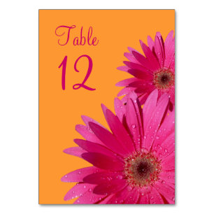 Fuchsia Pink Orange Gerbera Daisy Hochzeit Tischnummer