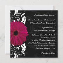 Fuchsia Scroll Gerbera Daisy w/Black and White