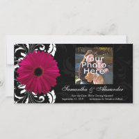 Fuchsia Scroll Gerbera Daisy w/Black and White