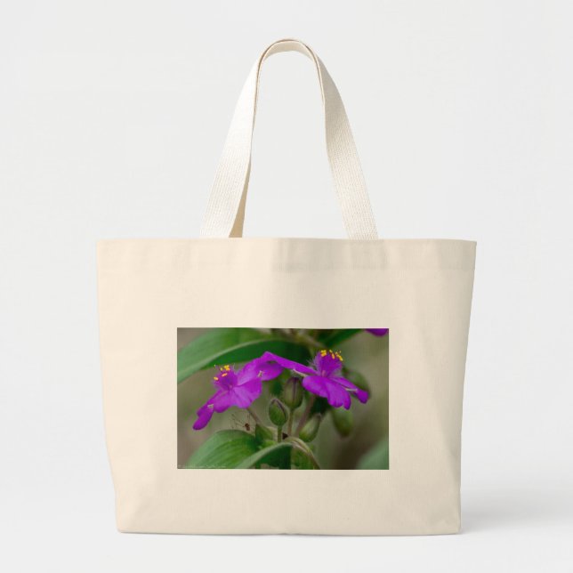 Fuchsia Spiderwort Twins Wildblume Geschenke Appar Jumbo Stoffbeutel (Vorne)