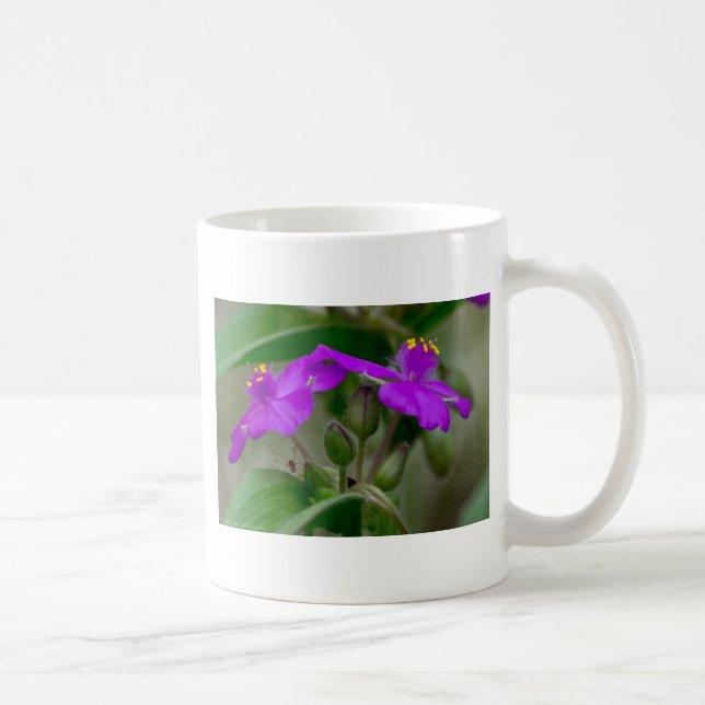 Fuchsia Spiderwort Twins Wildblume Geschenke Appar Kaffeetasse (Rechts)