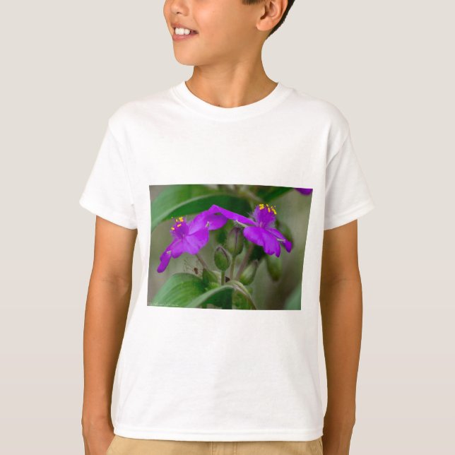 Fuchsia Spiderwort Twins Wildblume Geschenke Appar T-Shirt (Vorderseite)
