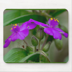 Fuchsia Spiderwort Zwillinge Wildblumengeschenke Mousepad