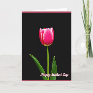 Fuchsia Tulpen Muttertagskarte Karte