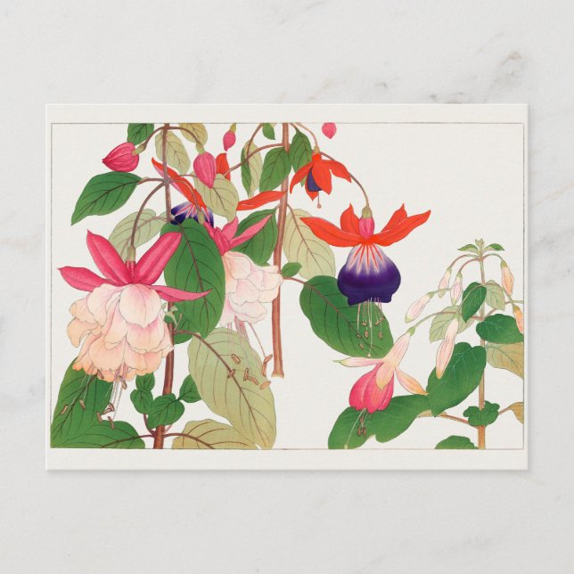 Fuchsia von Tanigami Konan Postkarte (Vorderseite)