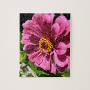 Fuchsia Zinnia Blume Nah Puzzle