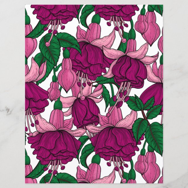 Fuchsie (Vorderseite)