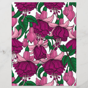 Fuchsie
