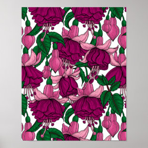 Fuchsie Poster