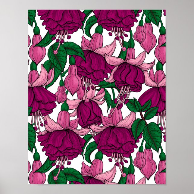 Fuchsie Poster (Vorne)